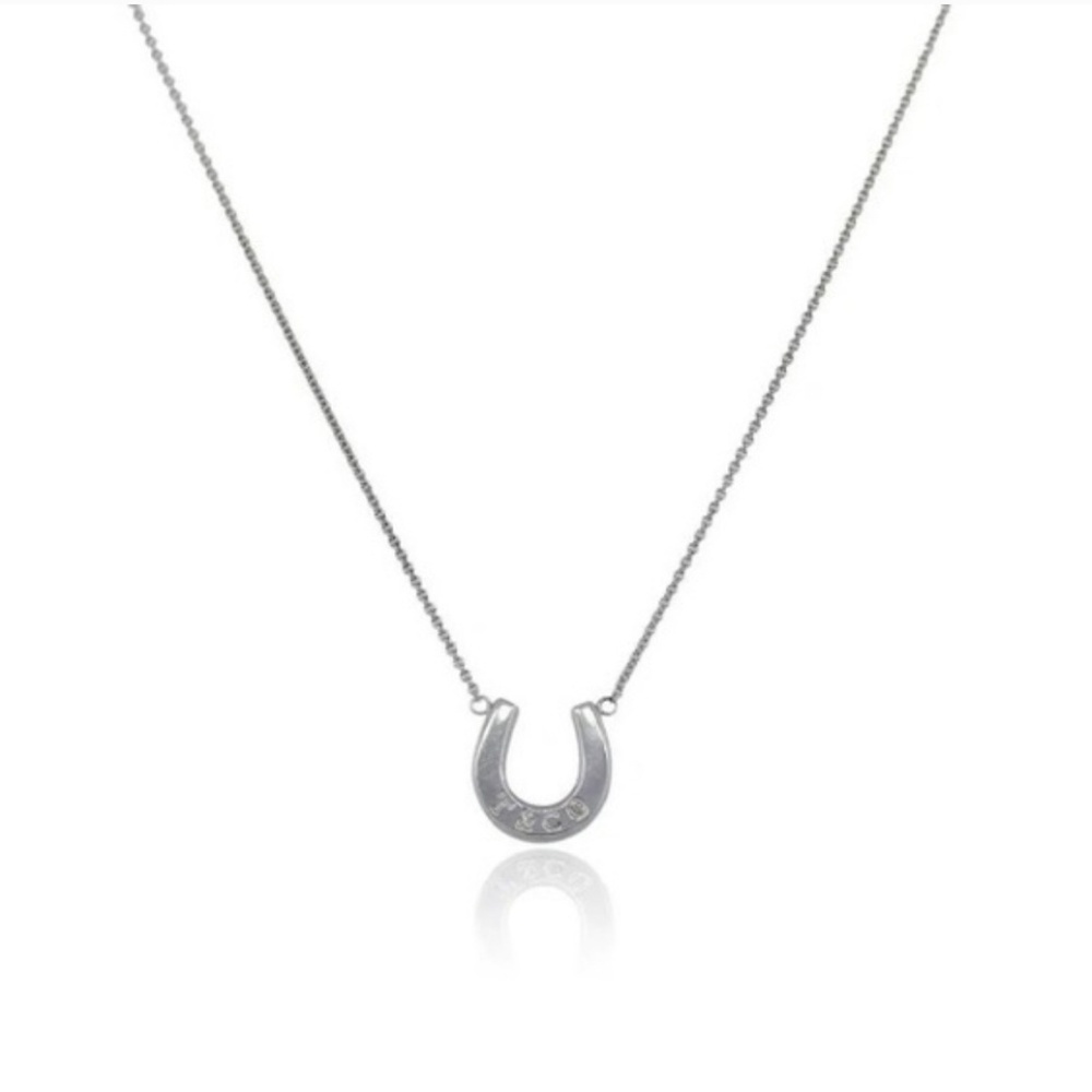 Tiffany's horseshoe necklace